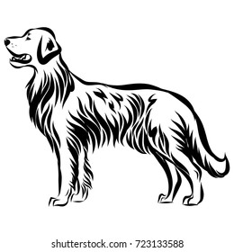 Vector illustration of an dog labrador on white background