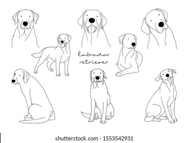 Vector Illustration of Dog, Labrador Retriever 