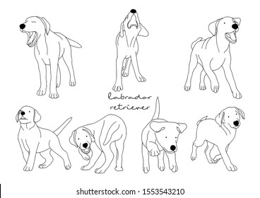 Vector Illustration of Dog, Labrador Retriever 