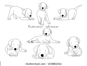 Vector Illustration of Dog, Labrador Retriever 