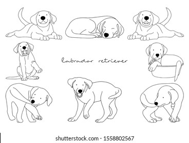 Vector Illustration of Dog, Labrador Retriever 