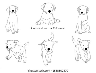 Vector Illustration of Dog, Labrador Retriever 