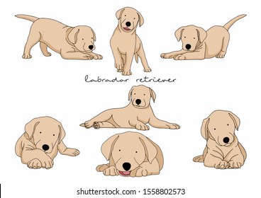 Vector Illustration Of Dog, Labrador Retriever 