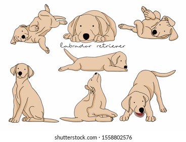 Vector Illustration of Dog, Labrador Retriever 