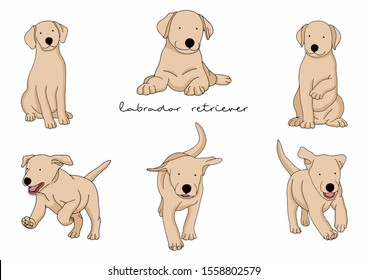 Vector Illustration of Dog, Labrador Retriever 
