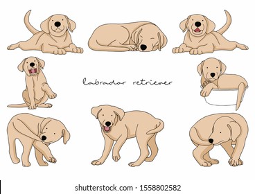 Vector Illustration of Dog, Labrador Retriever 