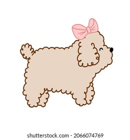 Vector illustration dog lapdog with pink bow in cartoon style for card, sticker and print 