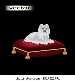 Vector Illustration Dog Lying On A Pillow.  White Fluffy Small Lap Dog Breed,   Decorative Dog