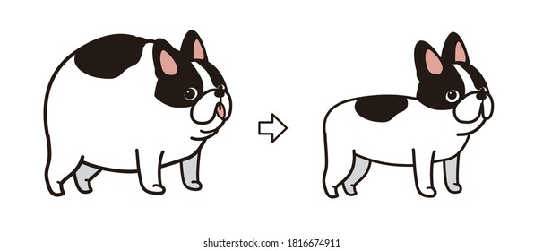 The vector illustration of a dog on a  diet.