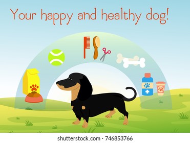 Vector illustration dog on green grass with set of accessories for dogs. Collection of pet symbol. Healthy and happy dog concept in flat cartoon style.