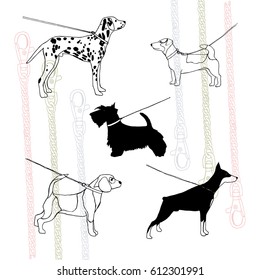 Vector illustration; dog on a leash. Dog breeds : dalmatians, Jack Russell terrier, beagle, doberman, scotch terrier.