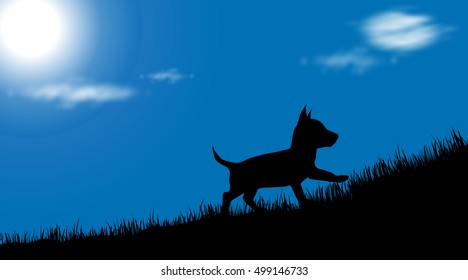 Vector illustration of dog on meadow at sunny day.