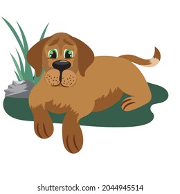 Vector illustration with a dog on a white background. A pet.