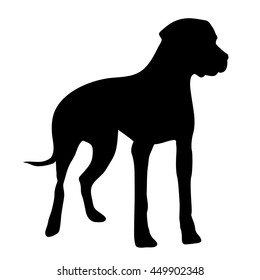 Vector illustration of dog on a white background.