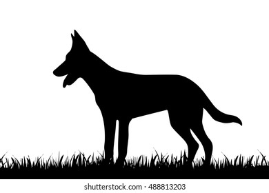 Vector illustration of dog on a white background.