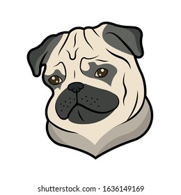 Vector illustration of dog. Pug on a white background.