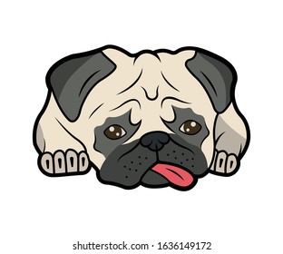Vector illustration of dog. Pug on a white background.