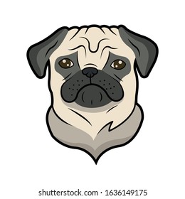 Vector illustration of dog. Pug on a white background.