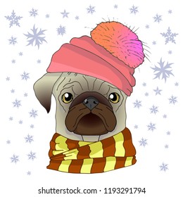 Vector illustration. Dog pug in a scarf and winter hat. Pug in snowflakes. Winter illustration.