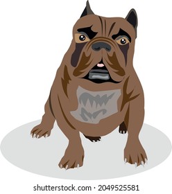 Vector illustration dog pug, with shadow on a white background