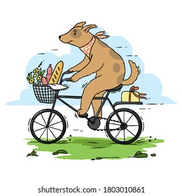 Vector illustration Dog rides a bicycle for a picnic