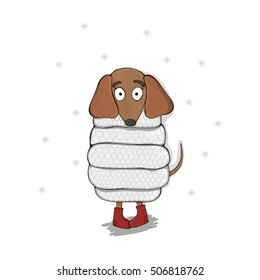 Vector illustration with dog with scarf. Winter card with Dachshund.