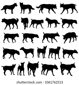Vector illustration of dog silhouettes.