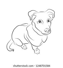 Vector illustration. Dog sketch.EPS 8
