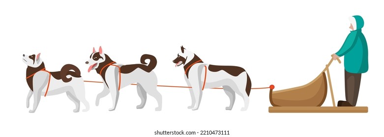 Vector illustration of dog sledding. Cartoon scene with dog sledding in the north by Eskimos.