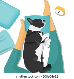 vector illustration of a dog sleeping