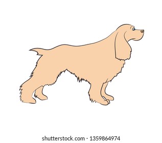 vector illustration dog is standing, vector, White background
