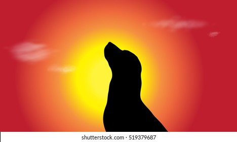 Vector illustration of a dog at sunset.