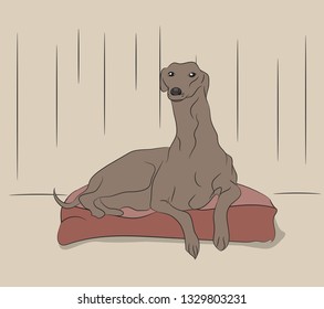 vector illustration of a dog that lies in the room, vector