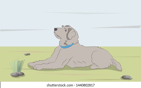 
vector illustration of a dog that lies on nature, wildlife, vector