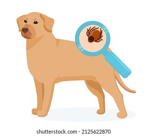 ilustración vectorial de un perro con una garrapata que se muestra en primer plano. El problema de los parásitos que succionan la sangre y los insectos que portan enfermedades
