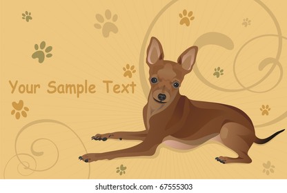 Vector illustration a dog and traces from paws