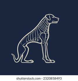 Vector illustration of a dog with visible skeleton