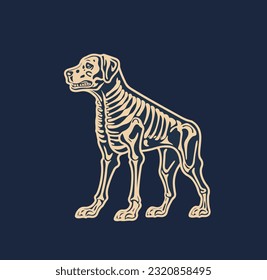 Vector illustration of a dog with visible skeleton