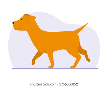 Vector illustration: dog walks without a leash and a muzzle.