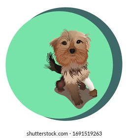 Vector Illustration of dog yorkshire terrier with broken paw  svg
