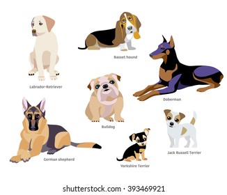 Vector illustration of dogs breed isolated on white Background