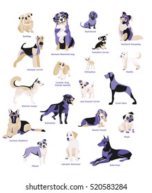 Vector illustration of dogs breed isolated on white Background