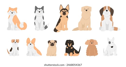 Vector illustration of сartoon dogs breeds set. Cute akita inu, husky, shepherd, retriever, St. Bernard, jack russell, corgi, pug, dachshund, poodle, Bull Terrier