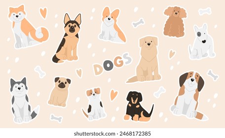 Ilustración vectorial de сconjunto de razas de perros de dibujos animados. Pegatinas lindas con akita inu, husky, pastor, retriever, San Bernardo, jack russell, corgi, pug, dachshund, caniche, Bull Terrier