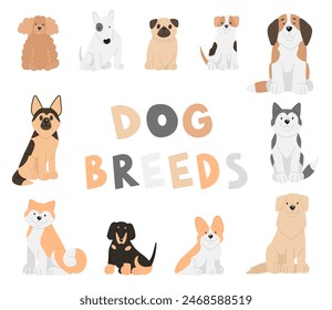 Vector illustration of сartoon dogs breeds set. Cute akita inu, husky, shepherd, retriever, St. Bernard, jack russell, corgi, pug, dachshund, poodle, Bull Terrier