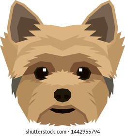 Vector illustration of the dog's head Yorkshire terrier Isolated object set