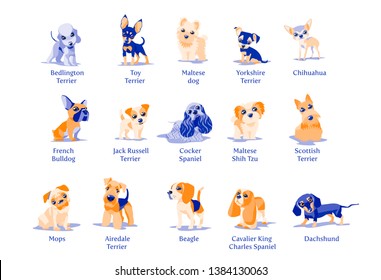 Vector illustration of dogs puppies different breeds