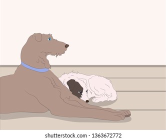 vector illustration of a dogs that lying in room, vector