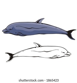 Vector illustration of a dolphin.