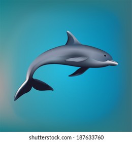 Vector illustration of dolphin
